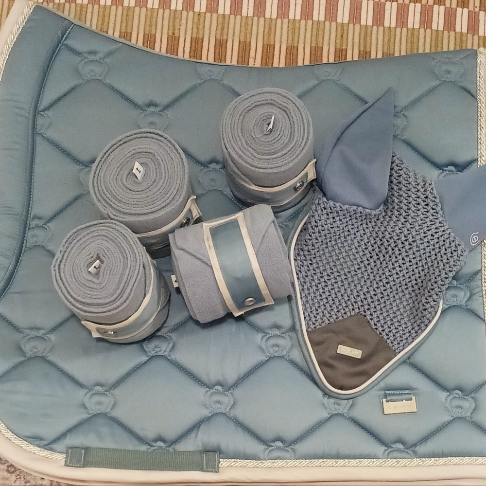 PS of Sweden Citadel set with perfect match Equestrian Stockholm full bonnet